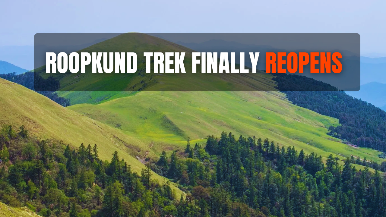 Summer Treks Updates