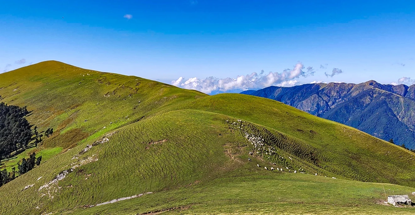 Ali Bedni Bugyal Trek Best time to Visit
