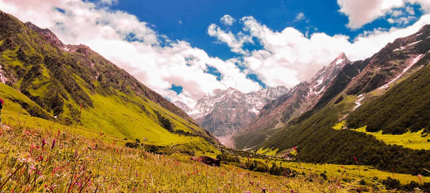 Valley of Flowers