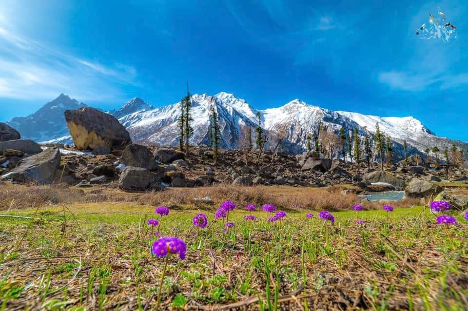 Har Ki Dun Trek