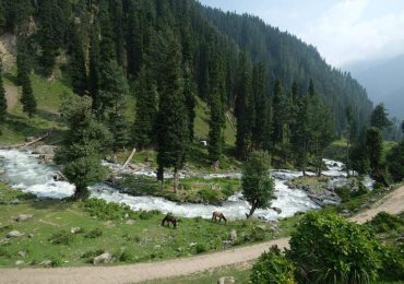 6 Best Treks In Kashmir For An Unforgettable Himalayan Adventure