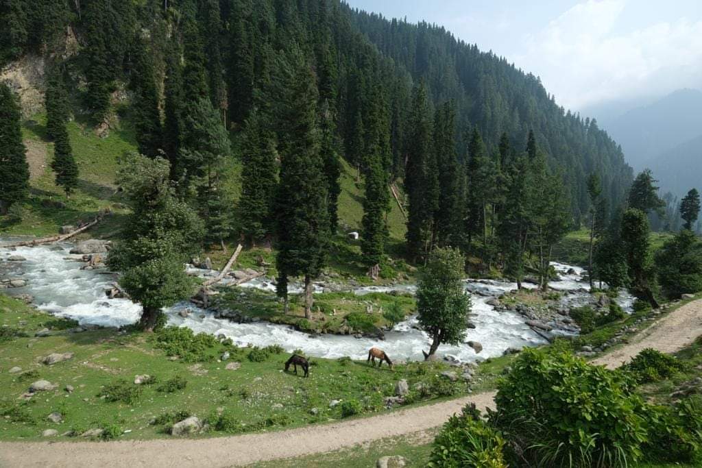 6 Best Treks In Kashmir For An Unforgettable Himalayan Adventure