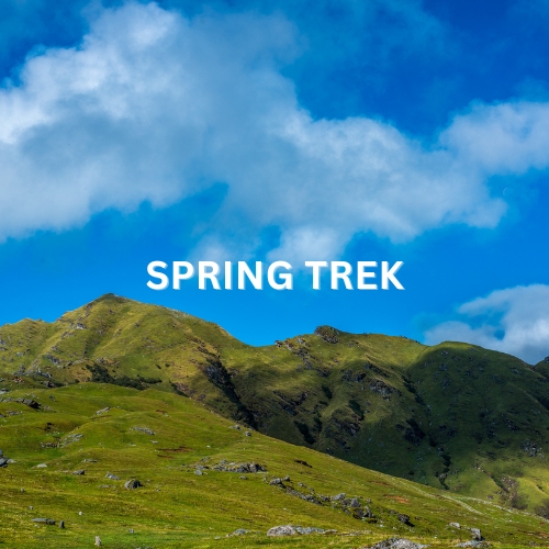 Spring Trek – Enjoy vibrant blooming flowers, lush green meadows, and pleasant weather on a refreshing spring trekking adventure.